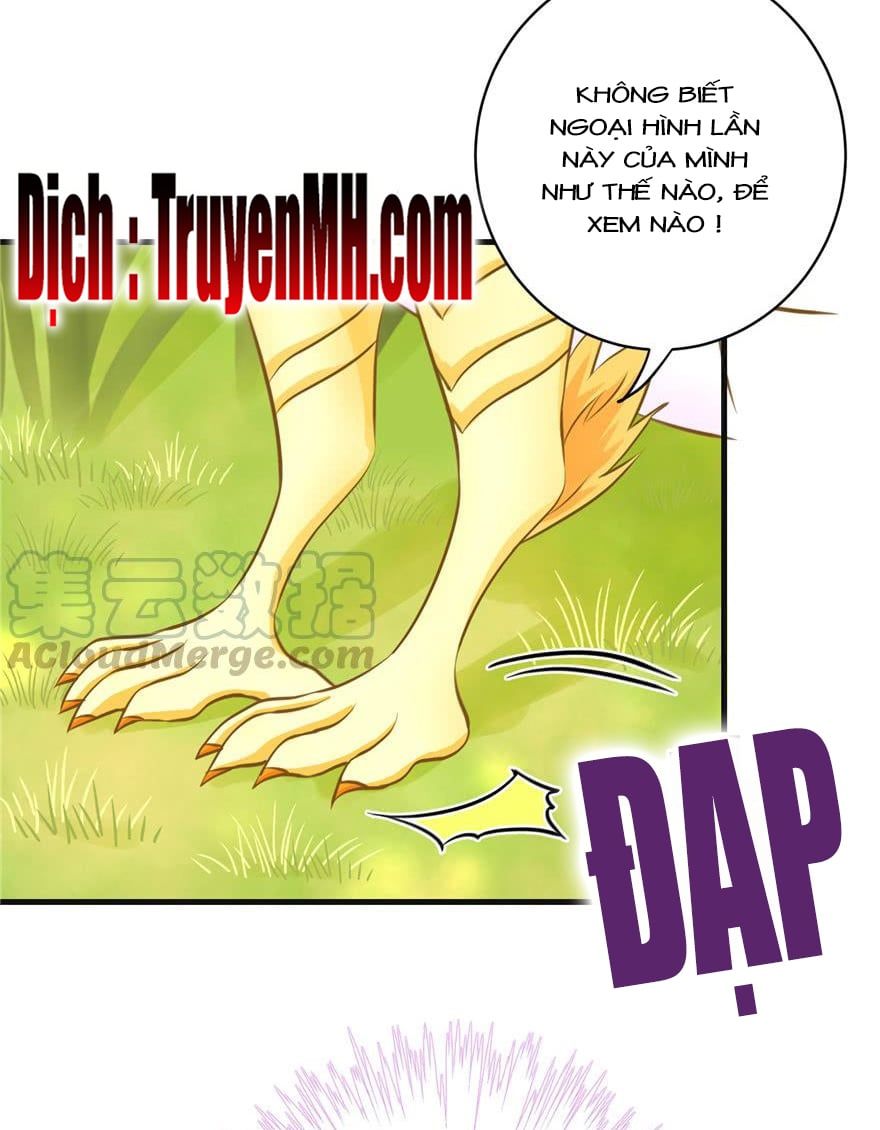 đọc truyện Đồ Đệ Nhà Ta Lại Quải Rồi Chương 154 ảnh 7 tại Thiên Thai Truyện