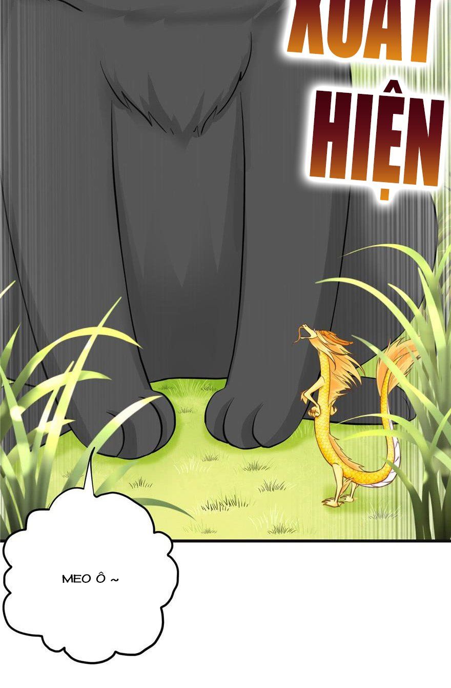 đọc truyện Đồ Đệ Nhà Ta Lại Quải Rồi Chương 155 ảnh 5 tại Thiên Thai Truyện