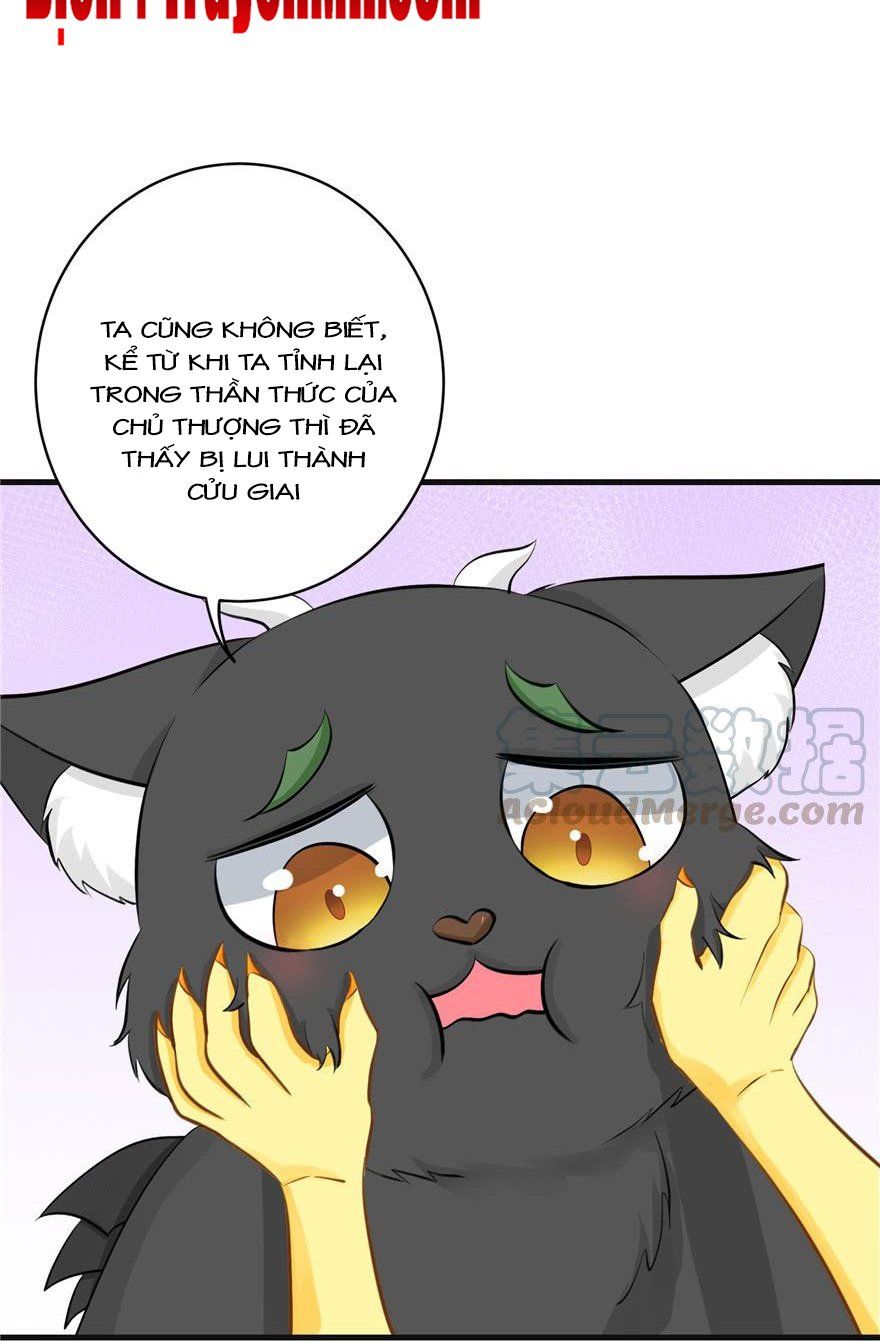 đọc truyện Đồ Đệ Nhà Ta Lại Quải Rồi Chương 155 ảnh 10 tại Thiên Thai Truyện