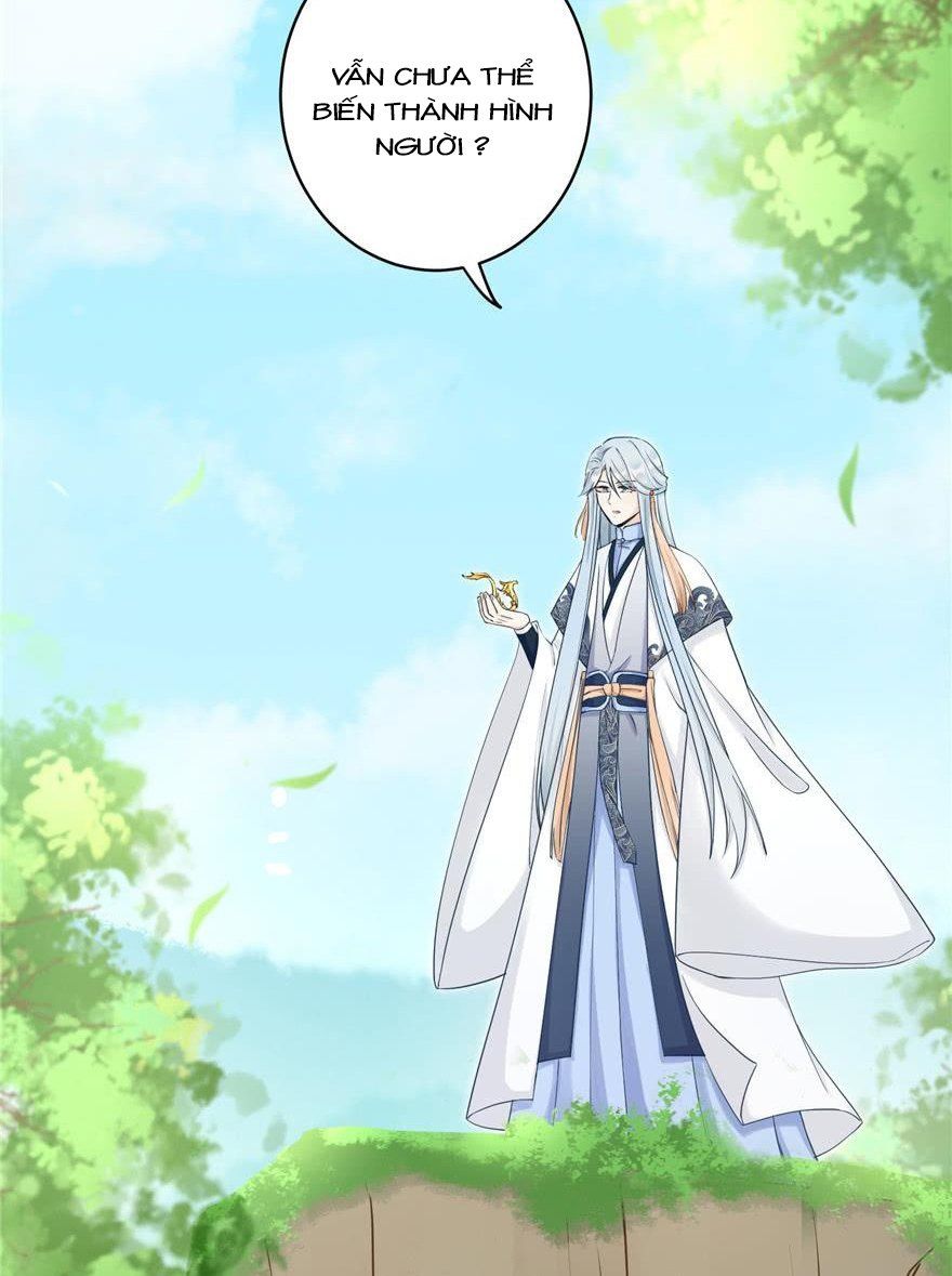 đọc truyện Đồ Đệ Nhà Ta Lại Quải Rồi Chương 156 ảnh 15 tại Thiên Thai Truyện