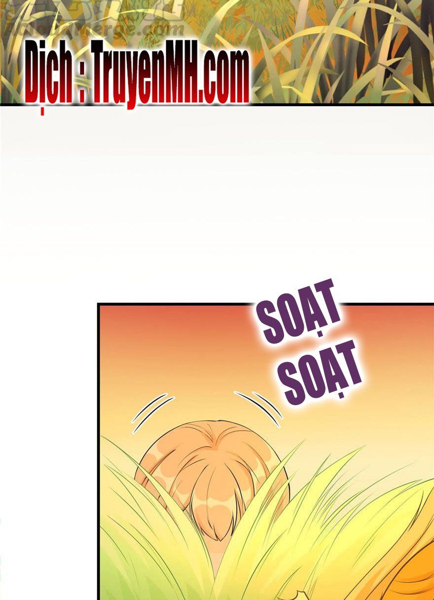 đọc truyện Đồ Đệ Nhà Ta Lại Quải Rồi Chương 157 ảnh 18 tại Thiên Thai Truyện