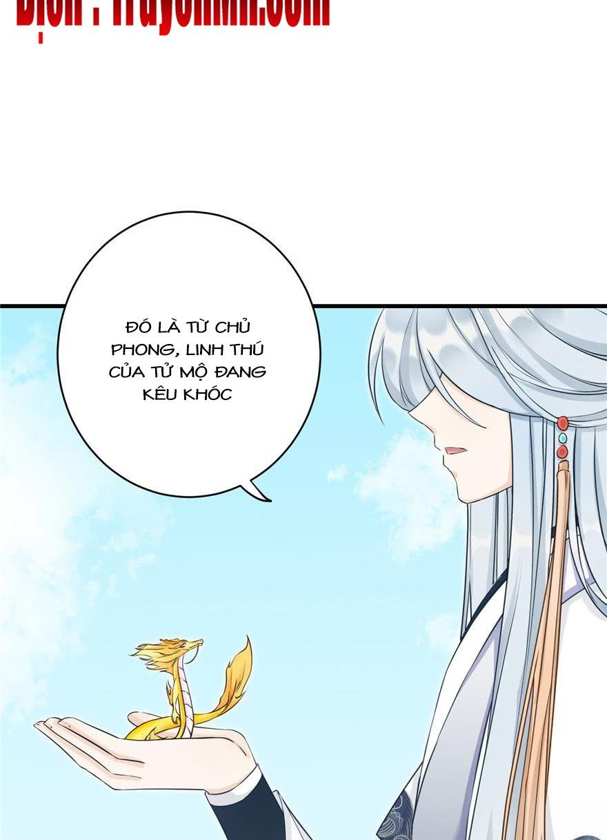 đọc truyện Đồ Đệ Nhà Ta Lại Quải Rồi Chương 157 ảnh 6 tại Thiên Thai Truyện