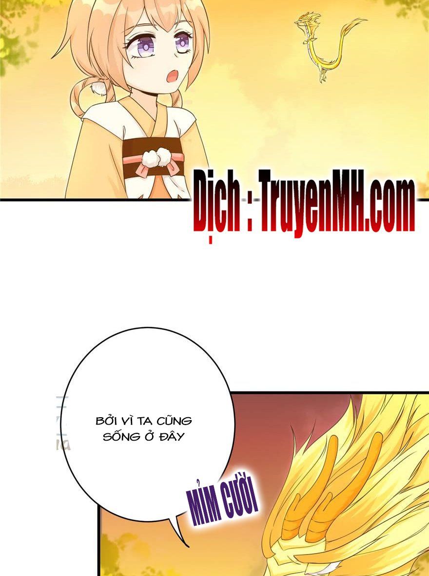 đọc truyện Đồ Đệ Nhà Ta Lại Quải Rồi Chương 158 ảnh 14 tại Thiên Thai Truyện