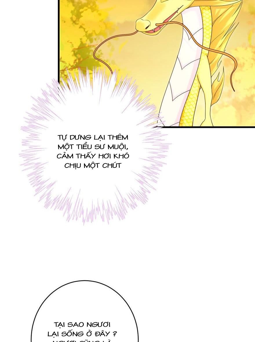 đọc truyện Đồ Đệ Nhà Ta Lại Quải Rồi Chương 158 ảnh 15 tại Thiên Thai Truyện