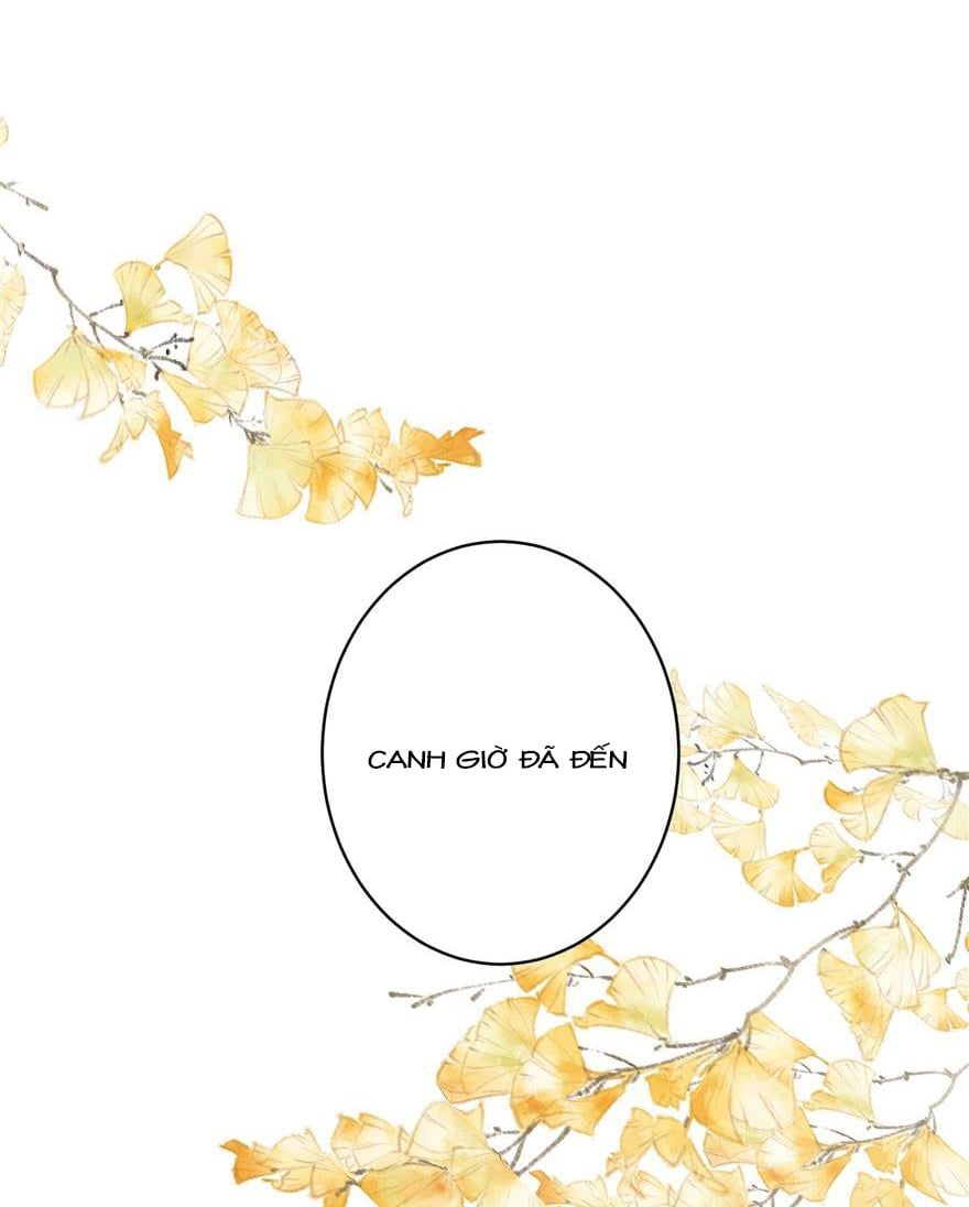 đọc truyện Đồ Đệ Nhà Ta Lại Quải Rồi Chương 168 ảnh 14 tại Thiên Thai Truyện