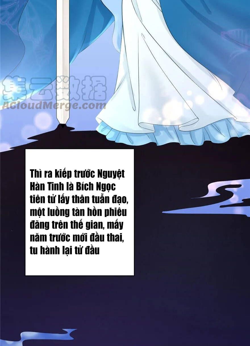 đọc truyện Đồ Đệ Nhà Ta Lại Quải Rồi Chương 174 ảnh 19 tại Thiên Thai Truyện