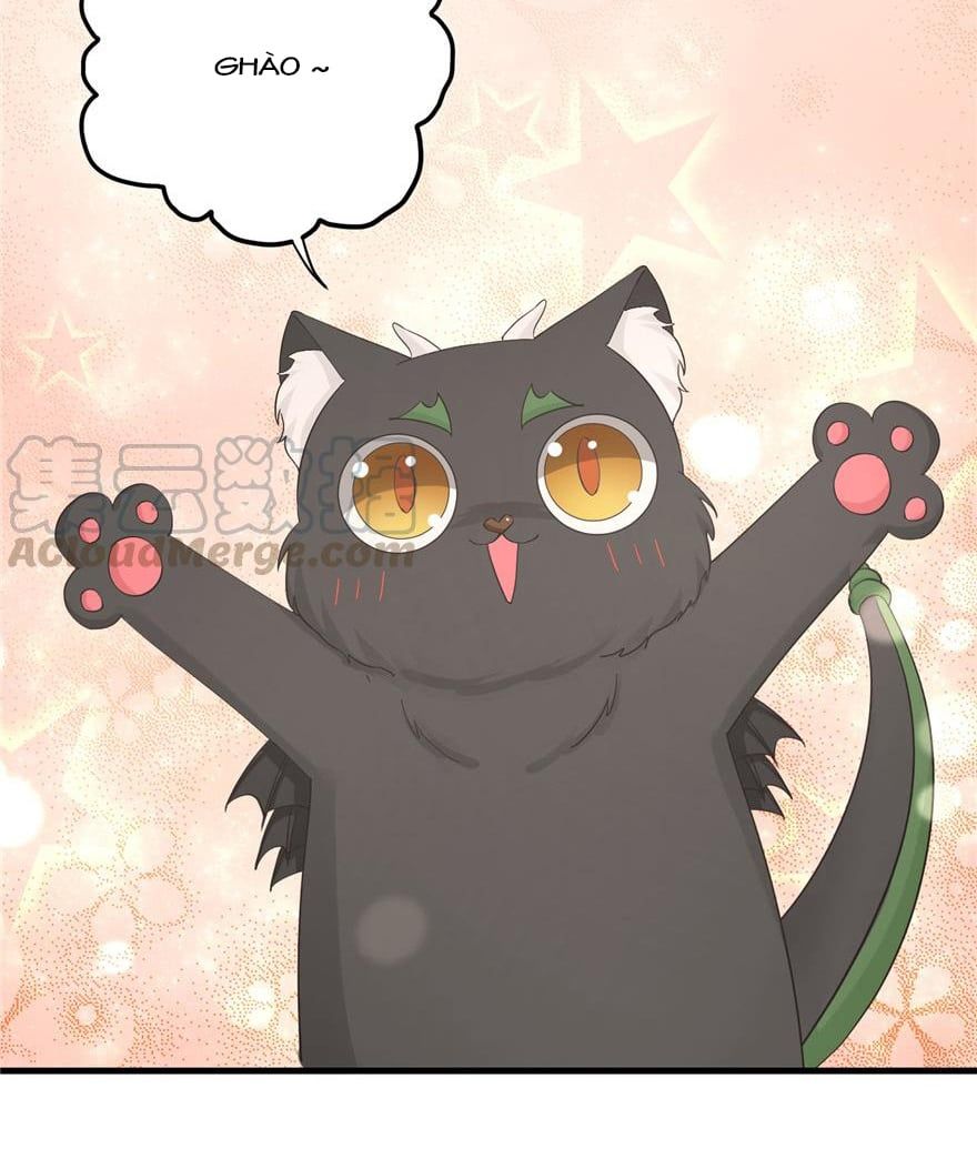 đọc truyện Đồ Đệ Nhà Ta Lại Quải Rồi Chương 181 ảnh 14 tại Thiên Thai Truyện