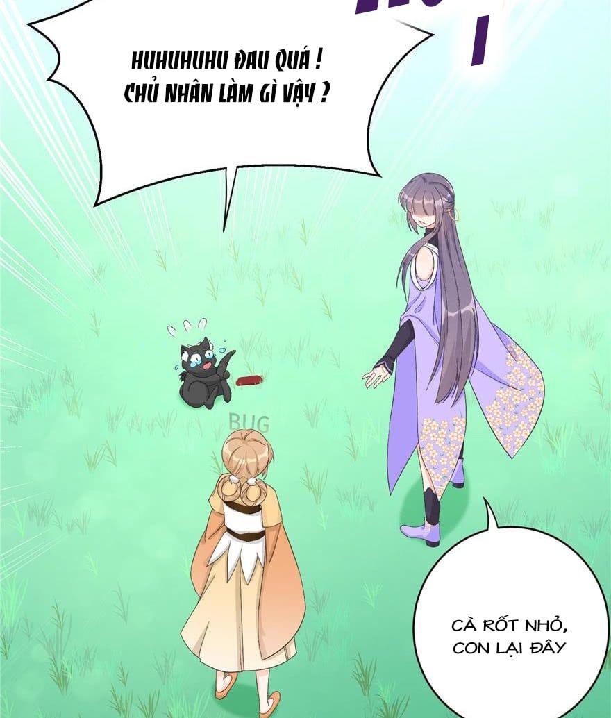 đọc truyện Đồ Đệ Nhà Ta Lại Quải Rồi Chương 181 ảnh 19 tại Thiên Thai Truyện