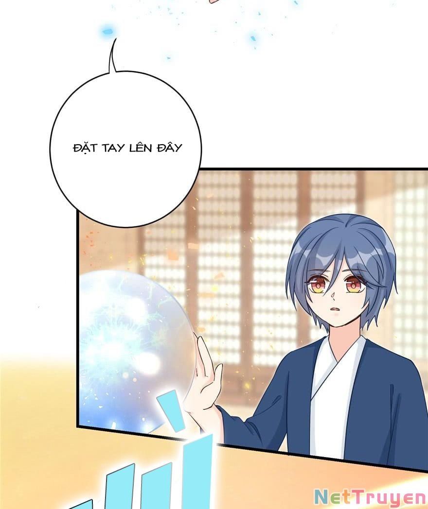 đọc truyện Đồ Đệ Nhà Ta Lại Quải Rồi Chương 196 ảnh 13 tại Thiên Thai Truyện