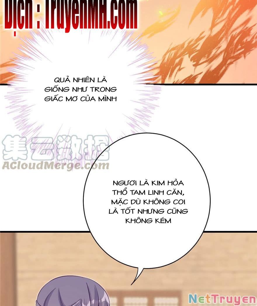 đọc truyện Đồ Đệ Nhà Ta Lại Quải Rồi Chương 196 ảnh 15 tại Thiên Thai Truyện