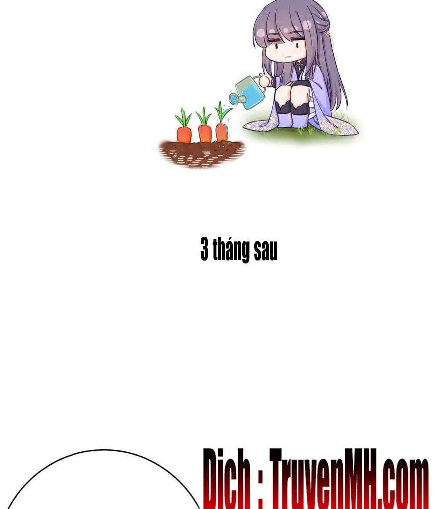 đọc truyện Đồ Đệ Nhà Ta Lại Quải Rồi Chương 197 ảnh 12 tại Thiên Thai Truyện