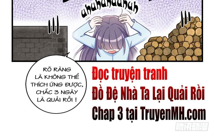đọc truyện Đồ Đệ Nhà Ta Lại Quải Rồi Chương 2 ảnh 42 tại Thiên Thai Truyện