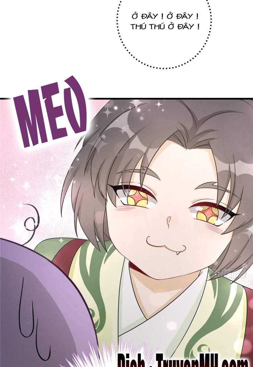 đọc truyện Đồ Đệ Nhà Ta Lại Quải Rồi Chương 201 ảnh 12 tại Thiên Thai Truyện