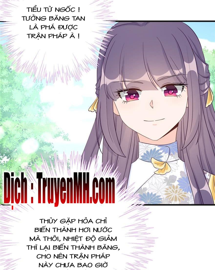 đọc truyện Đồ Đệ Nhà Ta Lại Quải Rồi Chương 205 ảnh 8 tại Thiên Thai Truyện