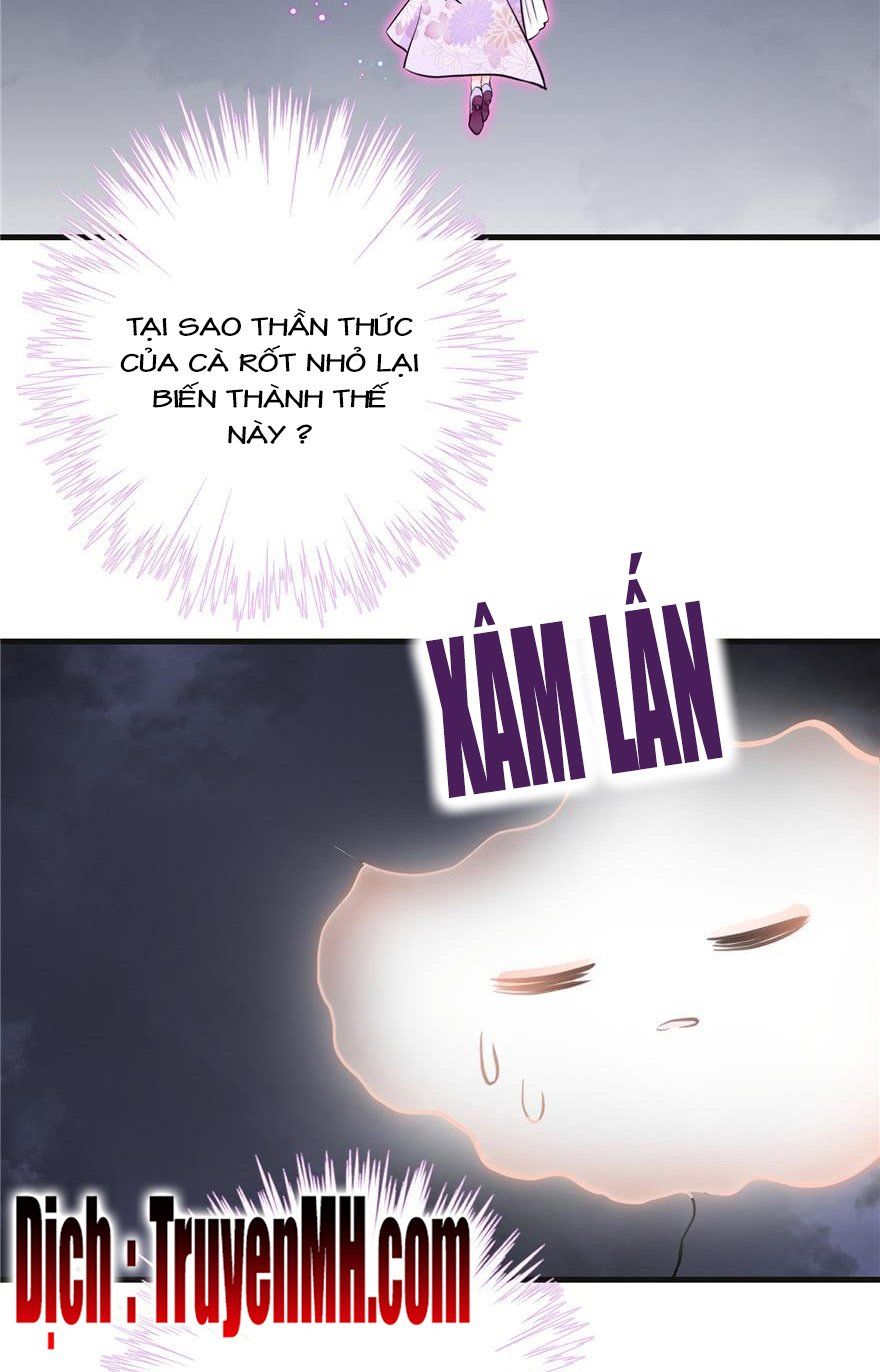 đọc truyện Đồ Đệ Nhà Ta Lại Quải Rồi Chương 207 ảnh 14 tại Thiên Thai Truyện