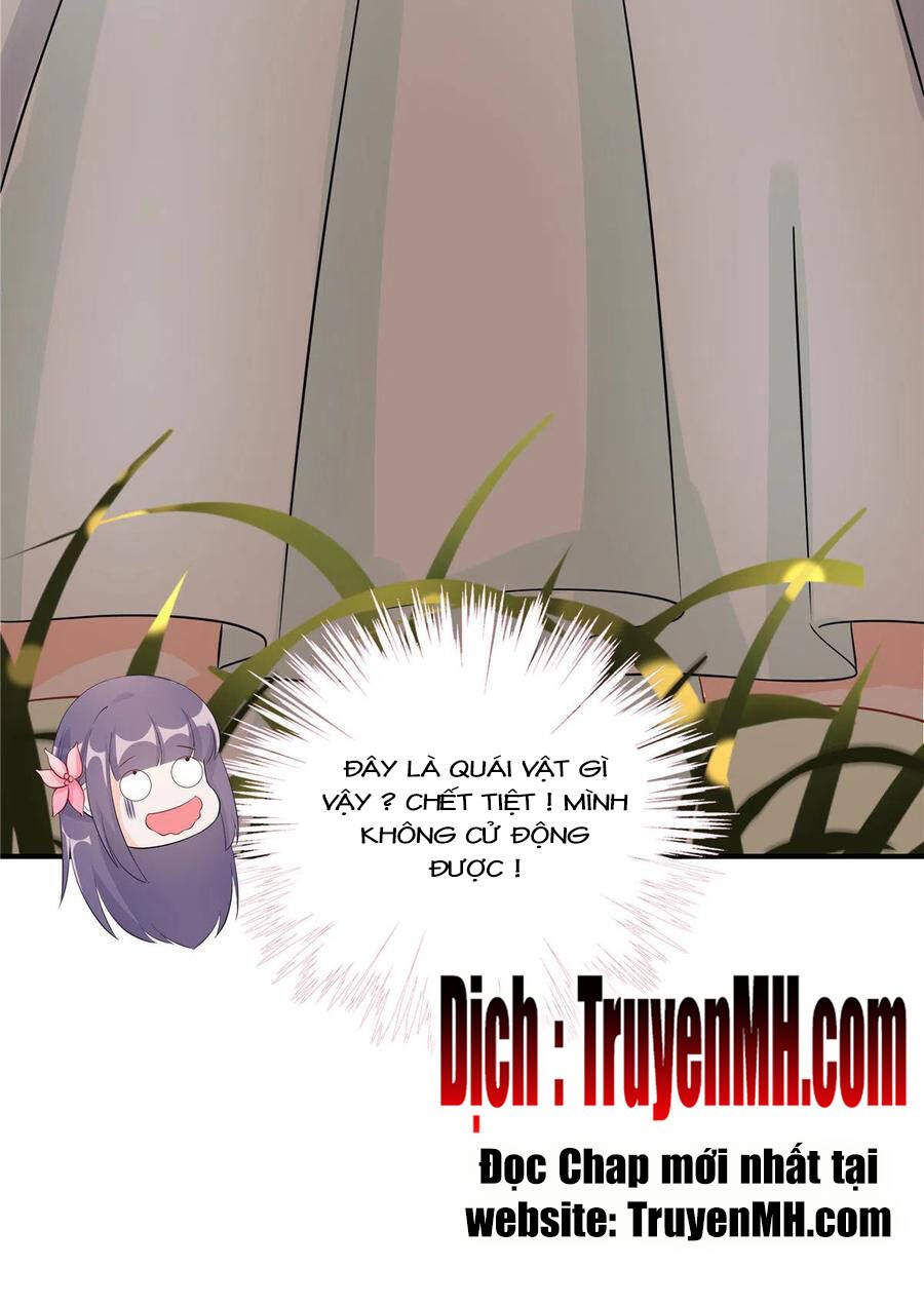 đọc truyện Đồ Đệ Nhà Ta Lại Quải Rồi Chương 279 ảnh 13 tại Thiên Thai Truyện
