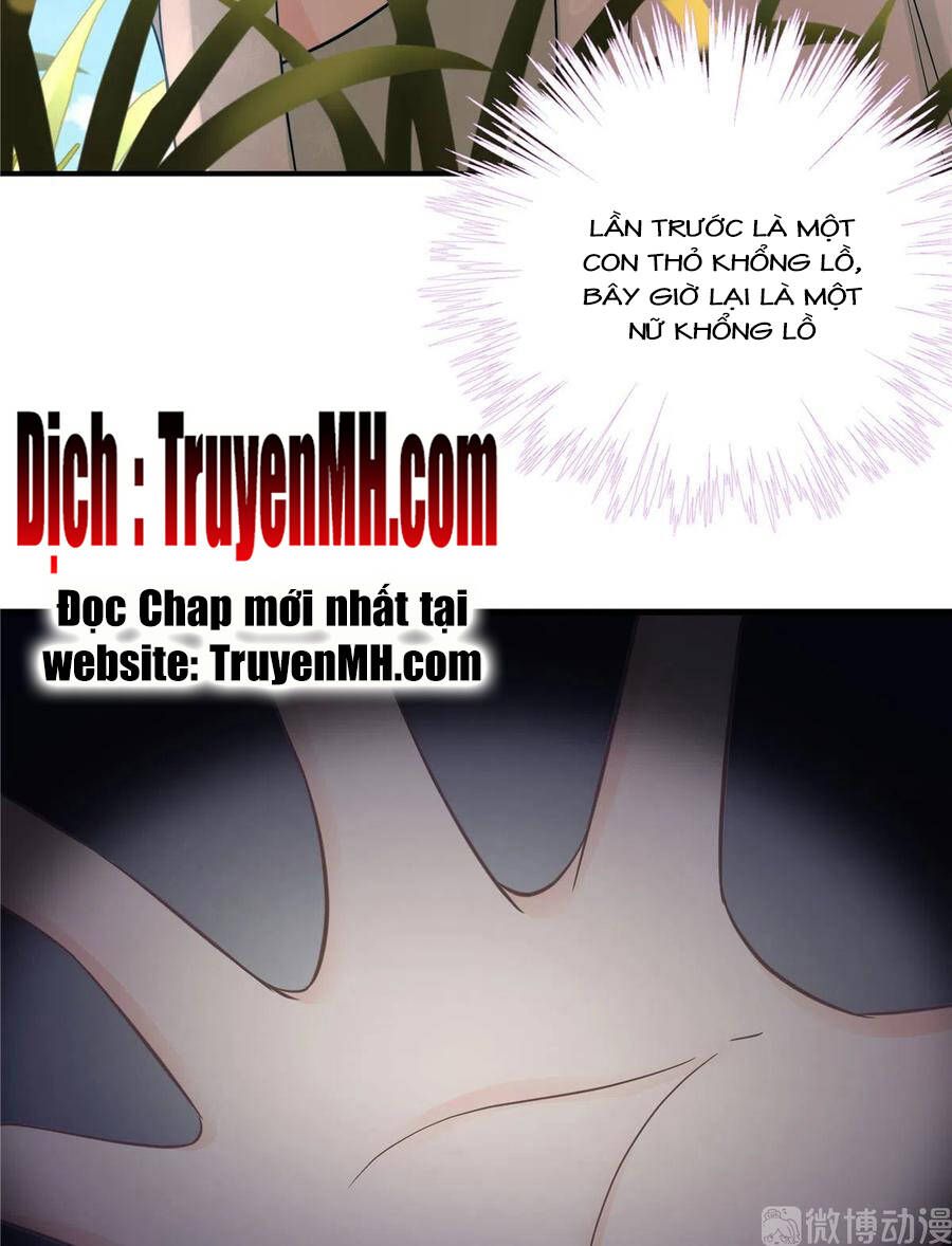 đọc truyện Đồ Đệ Nhà Ta Lại Quải Rồi Chương 279 ảnh 15 tại Thiên Thai Truyện