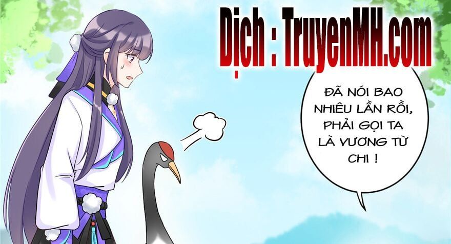 đọc truyện Đồ Đệ Nhà Ta Lại Quải Rồi Chương 28 ảnh 21 tại Thiên Thai Truyện