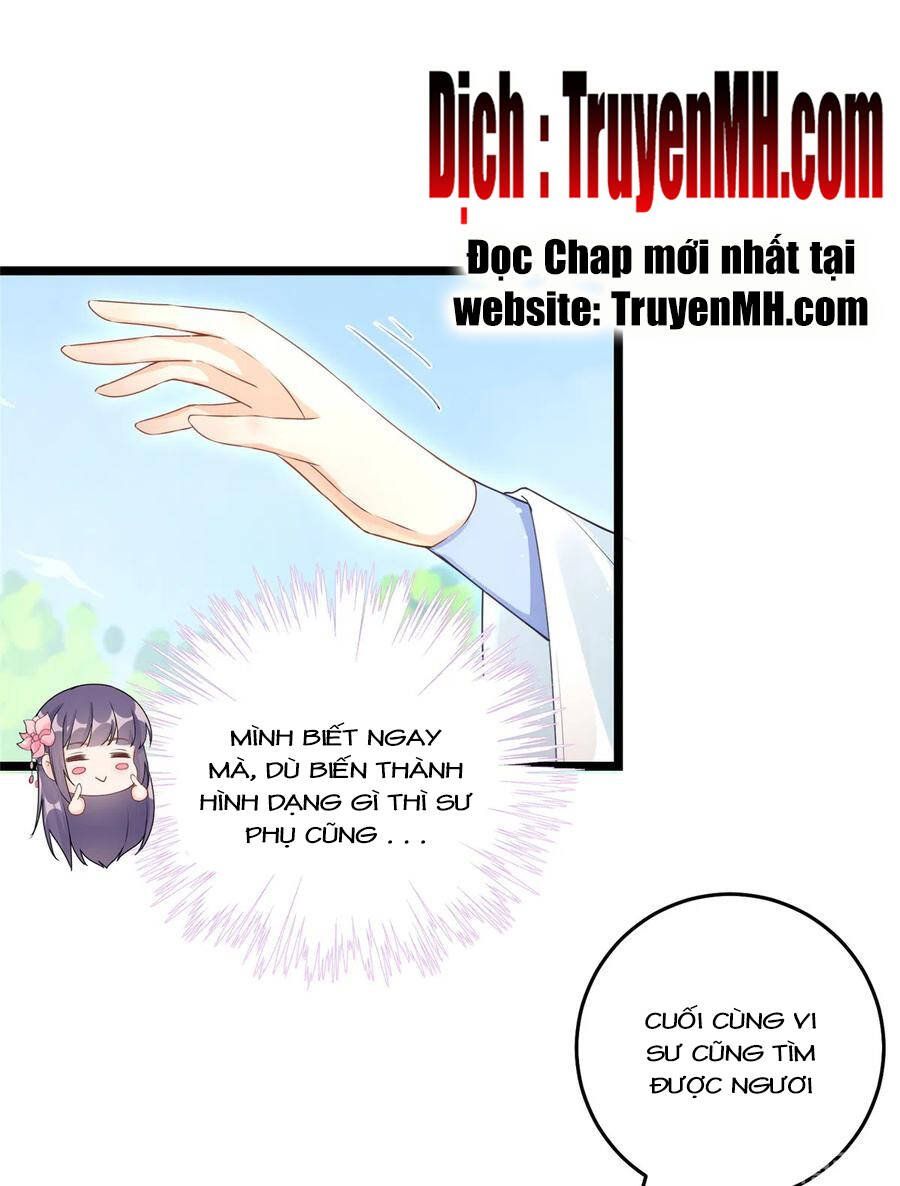 đọc truyện Đồ Đệ Nhà Ta Lại Quải Rồi Chương 280 ảnh 4 tại Thiên Thai Truyện