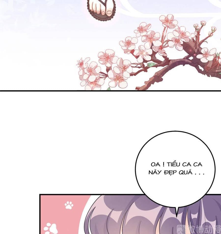 đọc truyện Đồ Đệ Nhà Ta Lại Quải Rồi Chương 283 ảnh 23 tại Thiên Thai Truyện