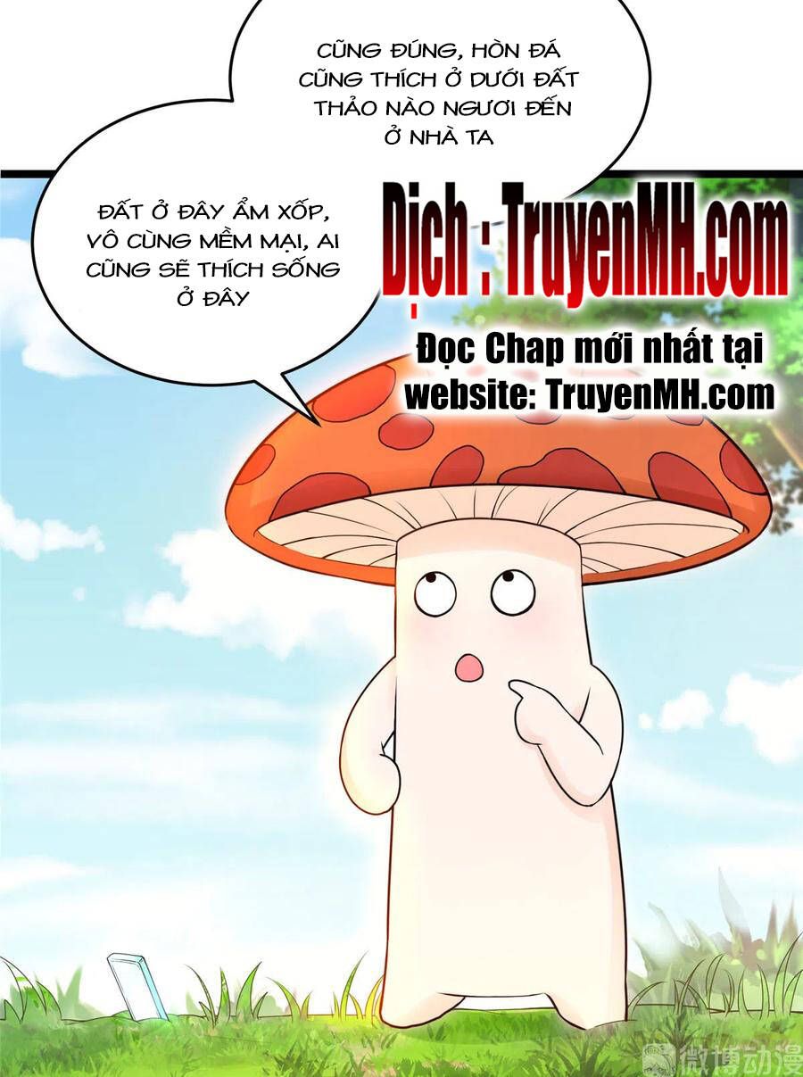 đọc truyện Đồ Đệ Nhà Ta Lại Quải Rồi Chương 284 ảnh 12 tại Thiên Thai Truyện