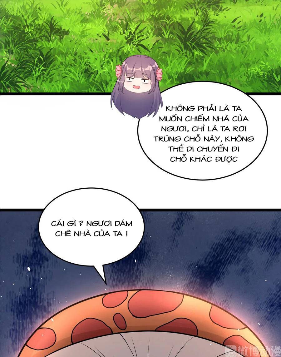 đọc truyện Đồ Đệ Nhà Ta Lại Quải Rồi Chương 284 ảnh 13 tại Thiên Thai Truyện