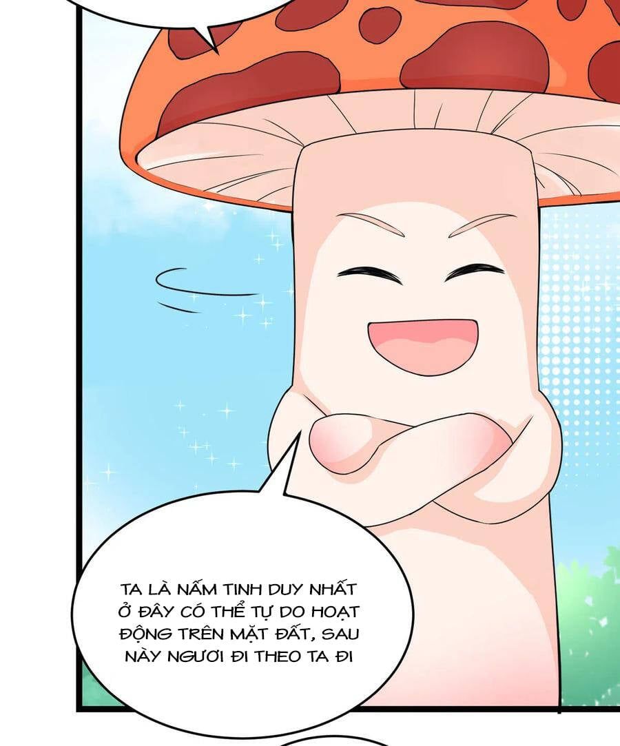 đọc truyện Đồ Đệ Nhà Ta Lại Quải Rồi Chương 284 ảnh 17 tại Thiên Thai Truyện