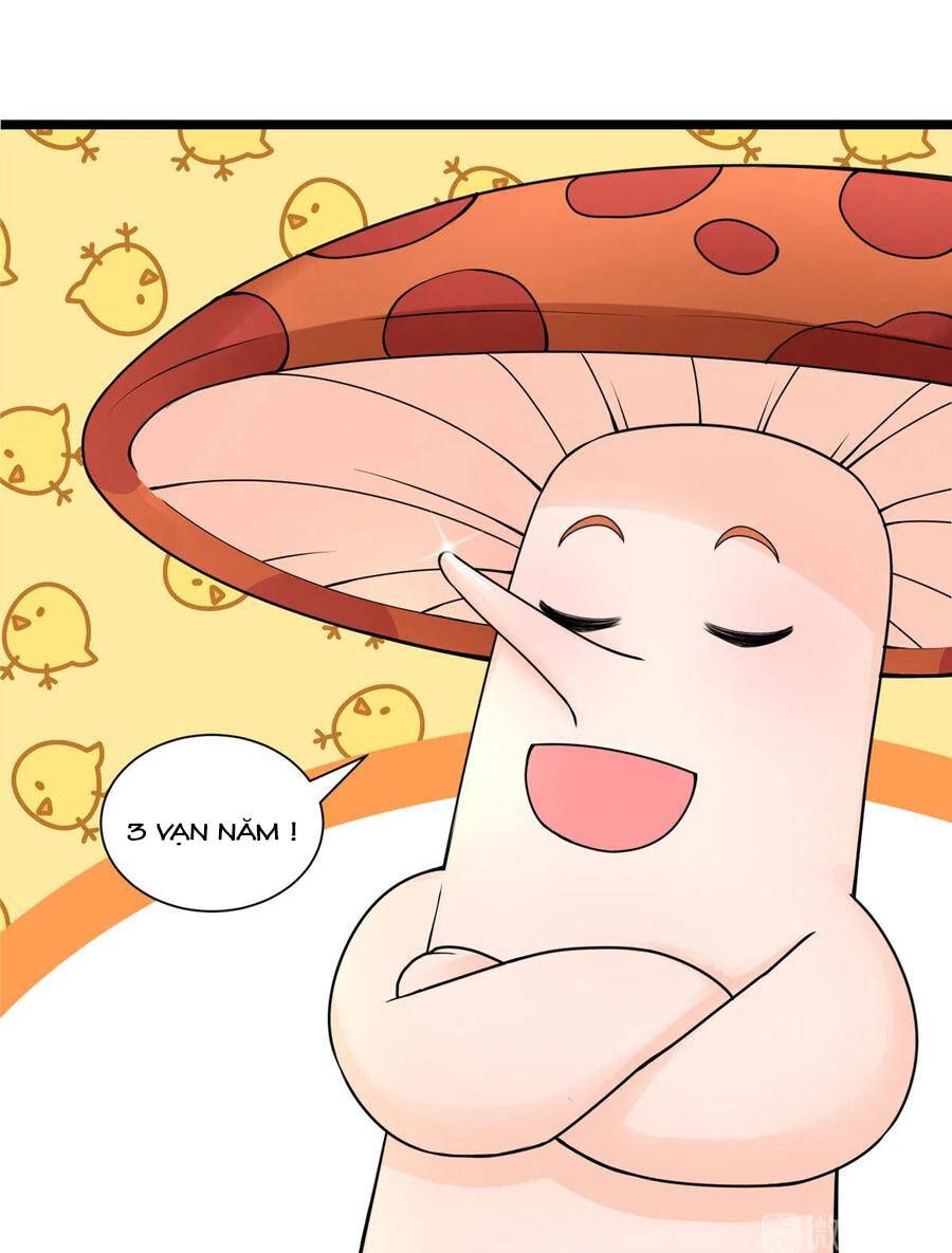 đọc truyện Đồ Đệ Nhà Ta Lại Quải Rồi Chương 284 ảnh 19 tại Thiên Thai Truyện