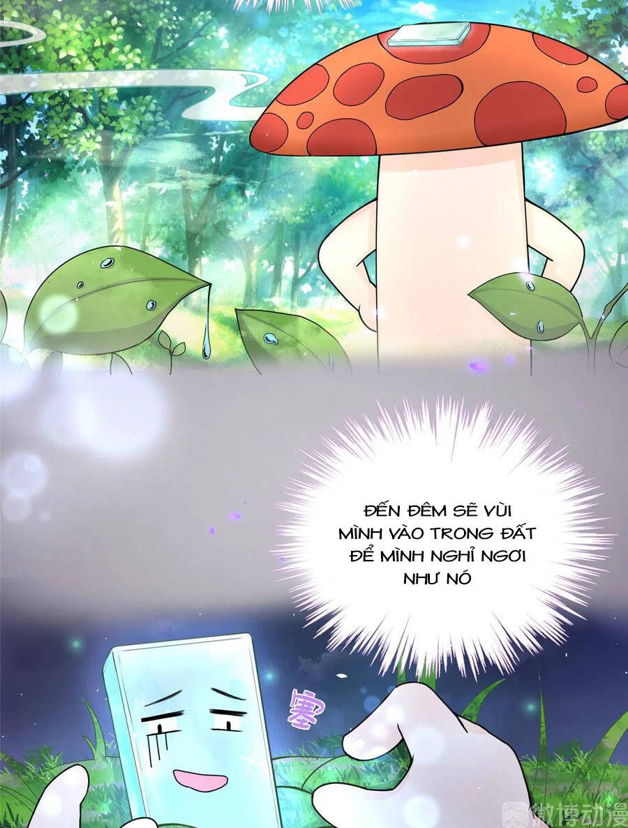 đọc truyện Đồ Đệ Nhà Ta Lại Quải Rồi Chương 284 ảnh 23 tại Thiên Thai Truyện