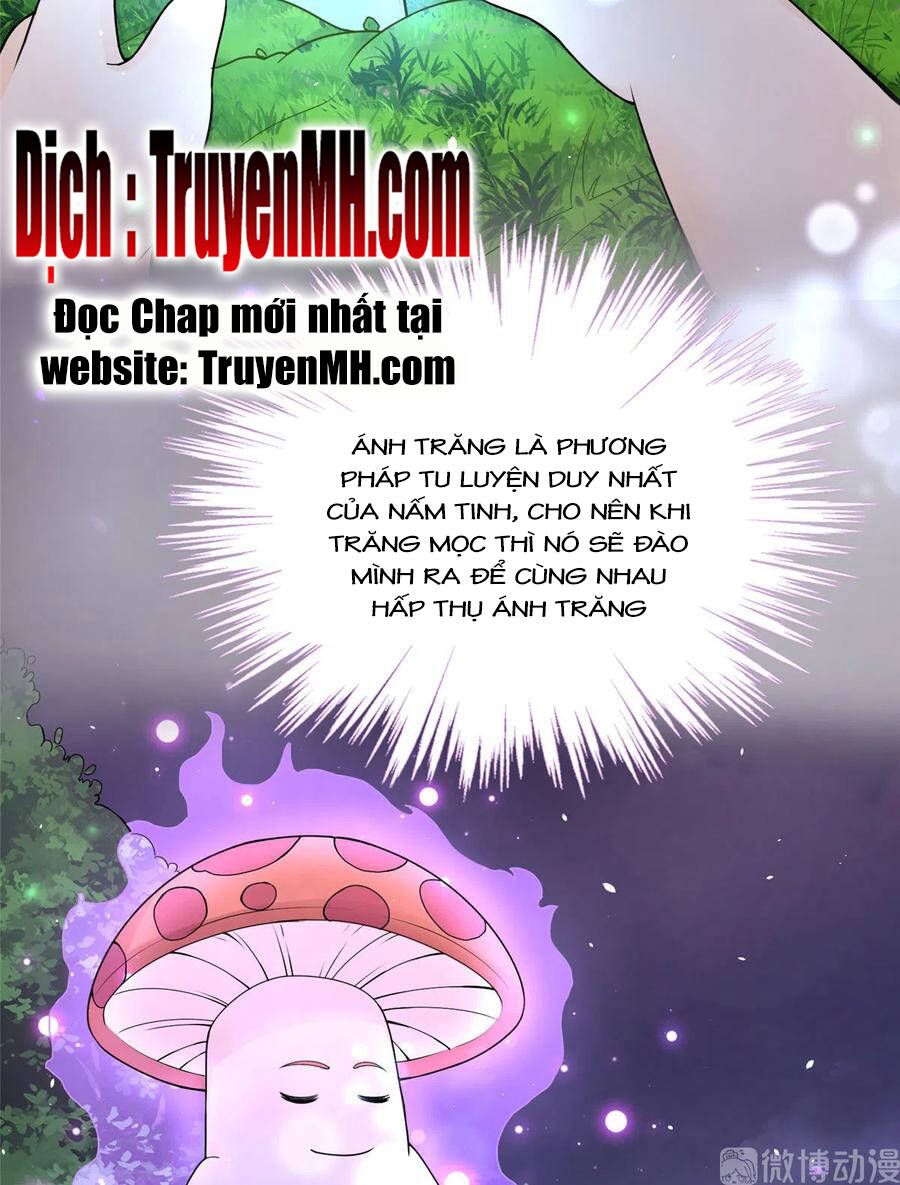 đọc truyện Đồ Đệ Nhà Ta Lại Quải Rồi Chương 284 ảnh 24 tại Thiên Thai Truyện