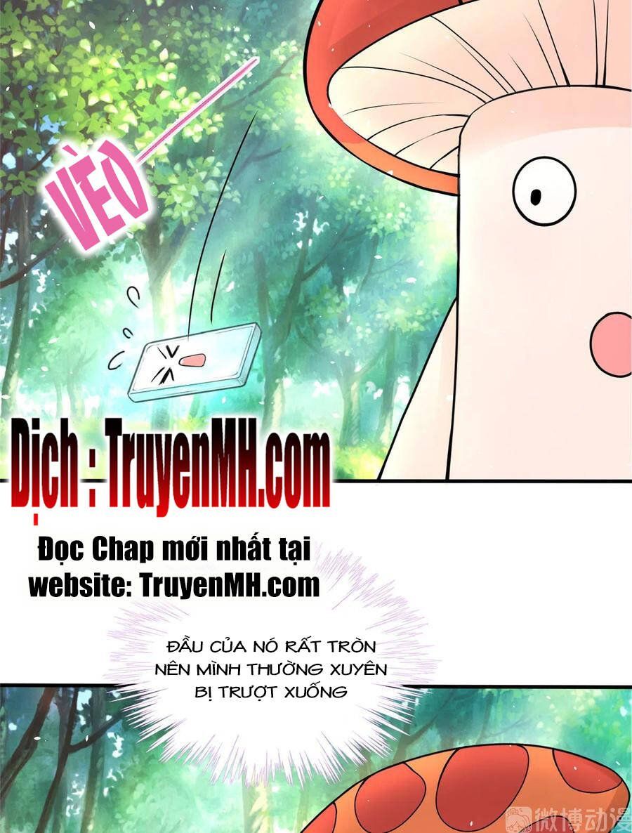 đọc truyện Đồ Đệ Nhà Ta Lại Quải Rồi Chương 284 ảnh 26 tại Thiên Thai Truyện