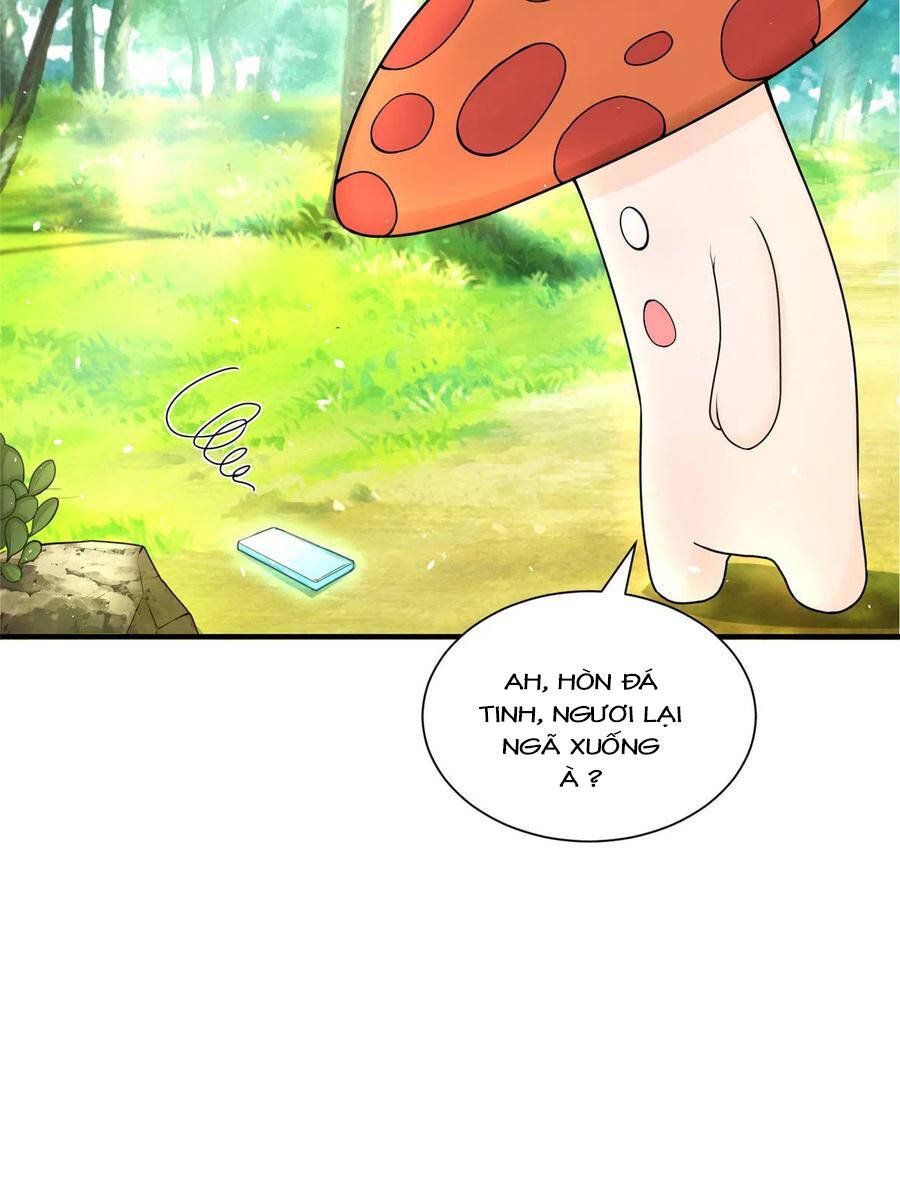 đọc truyện Đồ Đệ Nhà Ta Lại Quải Rồi Chương 284 ảnh 27 tại Thiên Thai Truyện