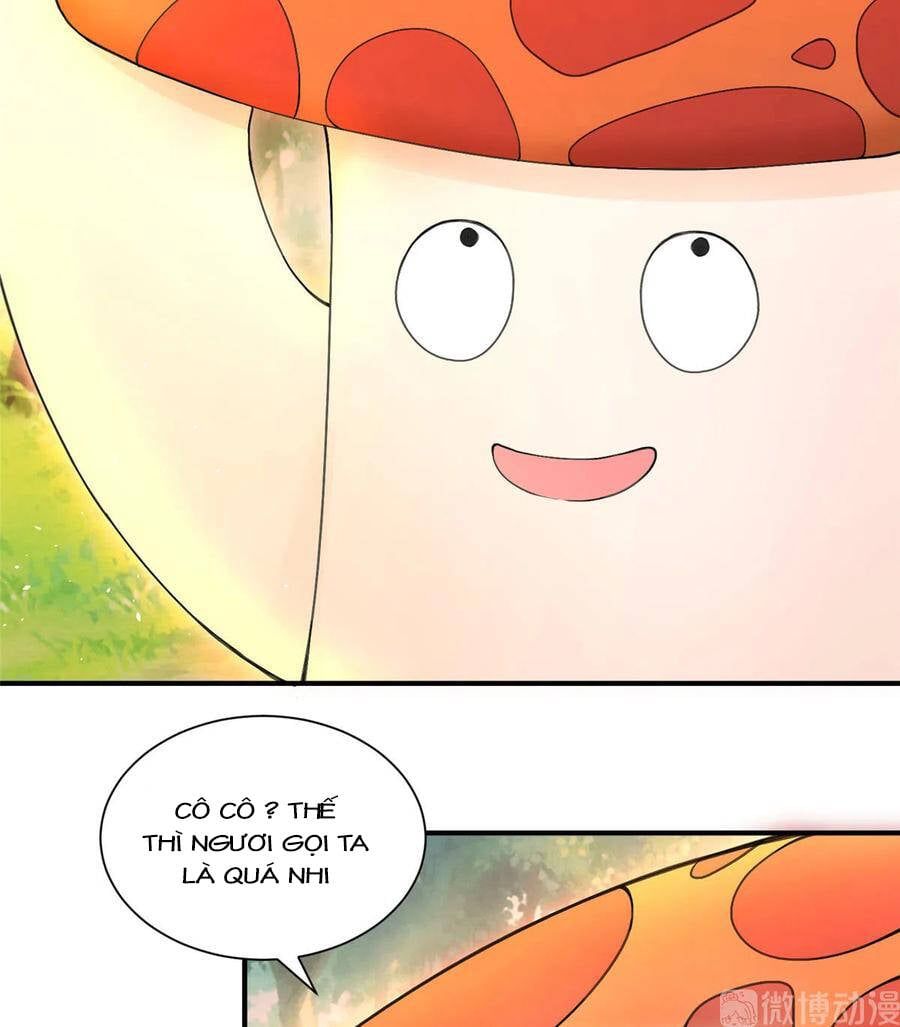 đọc truyện Đồ Đệ Nhà Ta Lại Quải Rồi Chương 284 ảnh 29 tại Thiên Thai Truyện