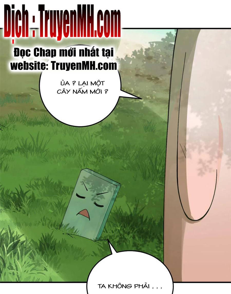 đọc truyện Đồ Đệ Nhà Ta Lại Quải Rồi Chương 284 ảnh 6 tại Thiên Thai Truyện