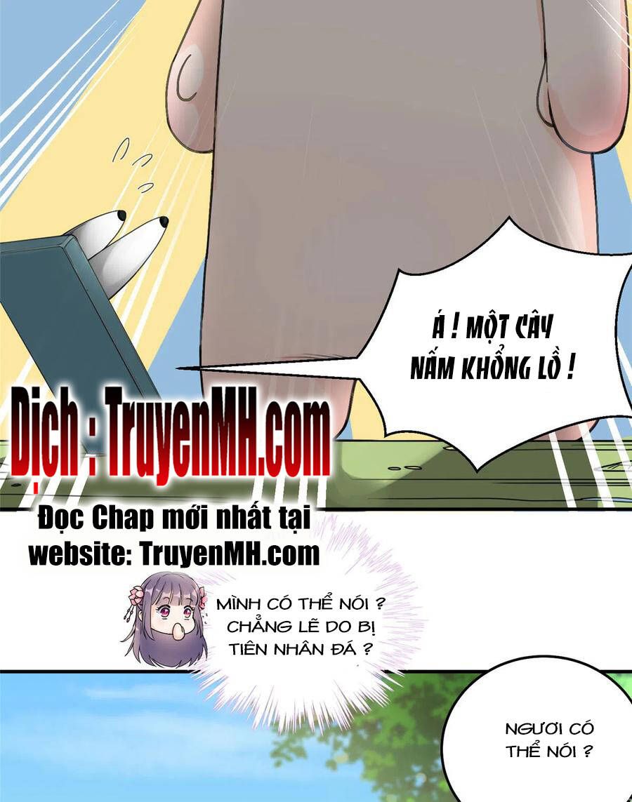 đọc truyện Đồ Đệ Nhà Ta Lại Quải Rồi Chương 284 ảnh 8 tại Thiên Thai Truyện