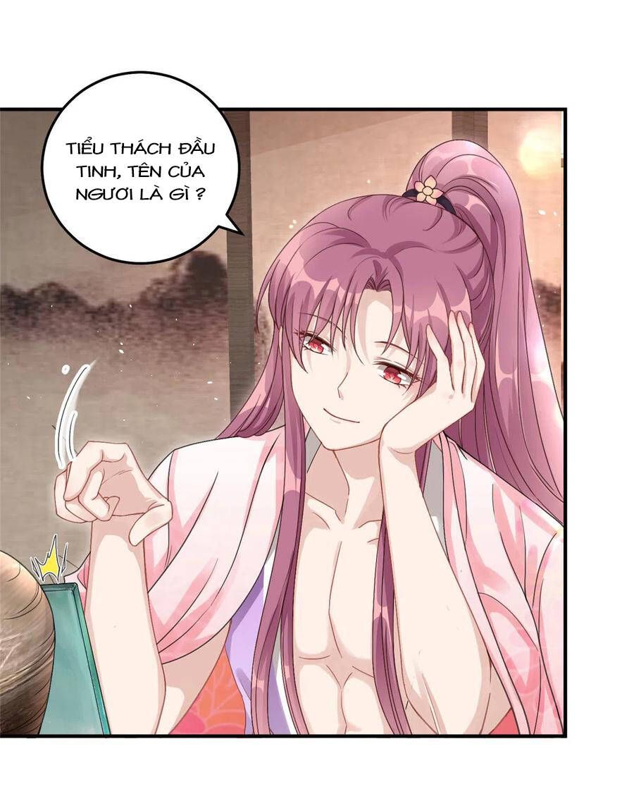 đọc truyện Đồ Đệ Nhà Ta Lại Quải Rồi Chương 286 ảnh 4 tại Thiên Thai Truyện