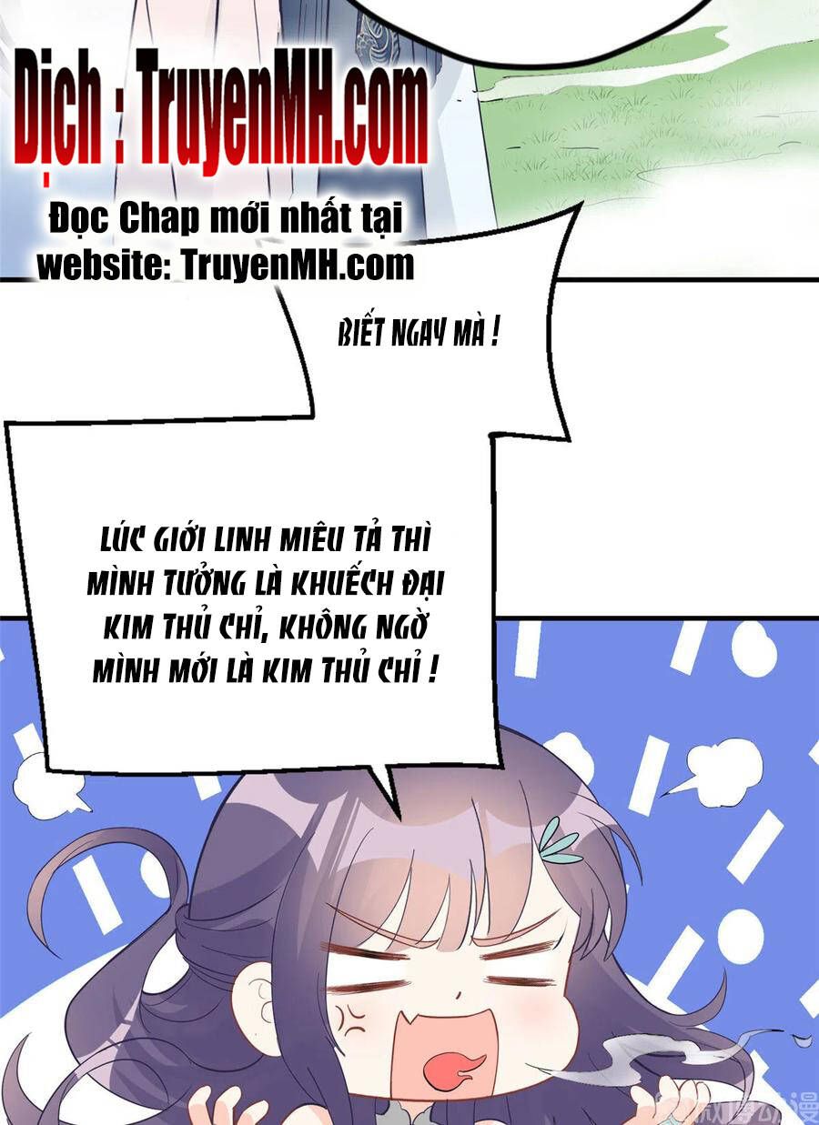 đọc truyện Đồ Đệ Nhà Ta Lại Quải Rồi Chương 300 ảnh 11 tại Thiên Thai Truyện