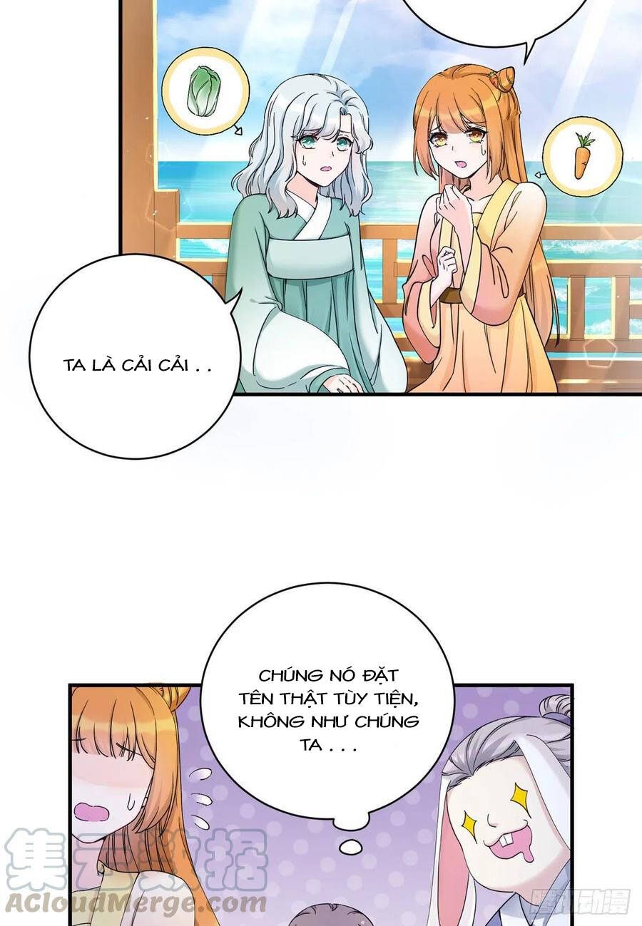 đọc truyện Đồ Đệ Nhà Ta Lại Quải Rồi Chương 311 ảnh 15 tại Thiên Thai Truyện