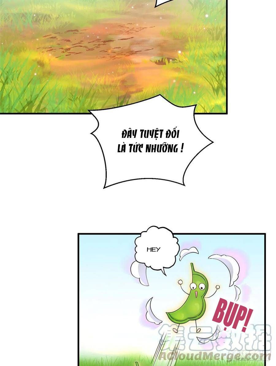 đọc truyện Đồ Đệ Nhà Ta Lại Quải Rồi Chương 315 ảnh 5 tại Thiên Thai Truyện