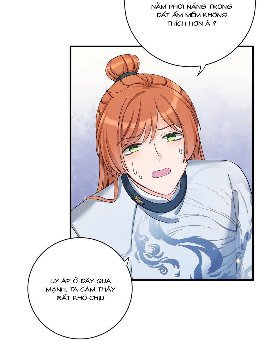 đọc truyện Đồ Đệ Nhà Ta Lại Quải Rồi Chương 316 ảnh 9 tại Thiên Thai Truyện