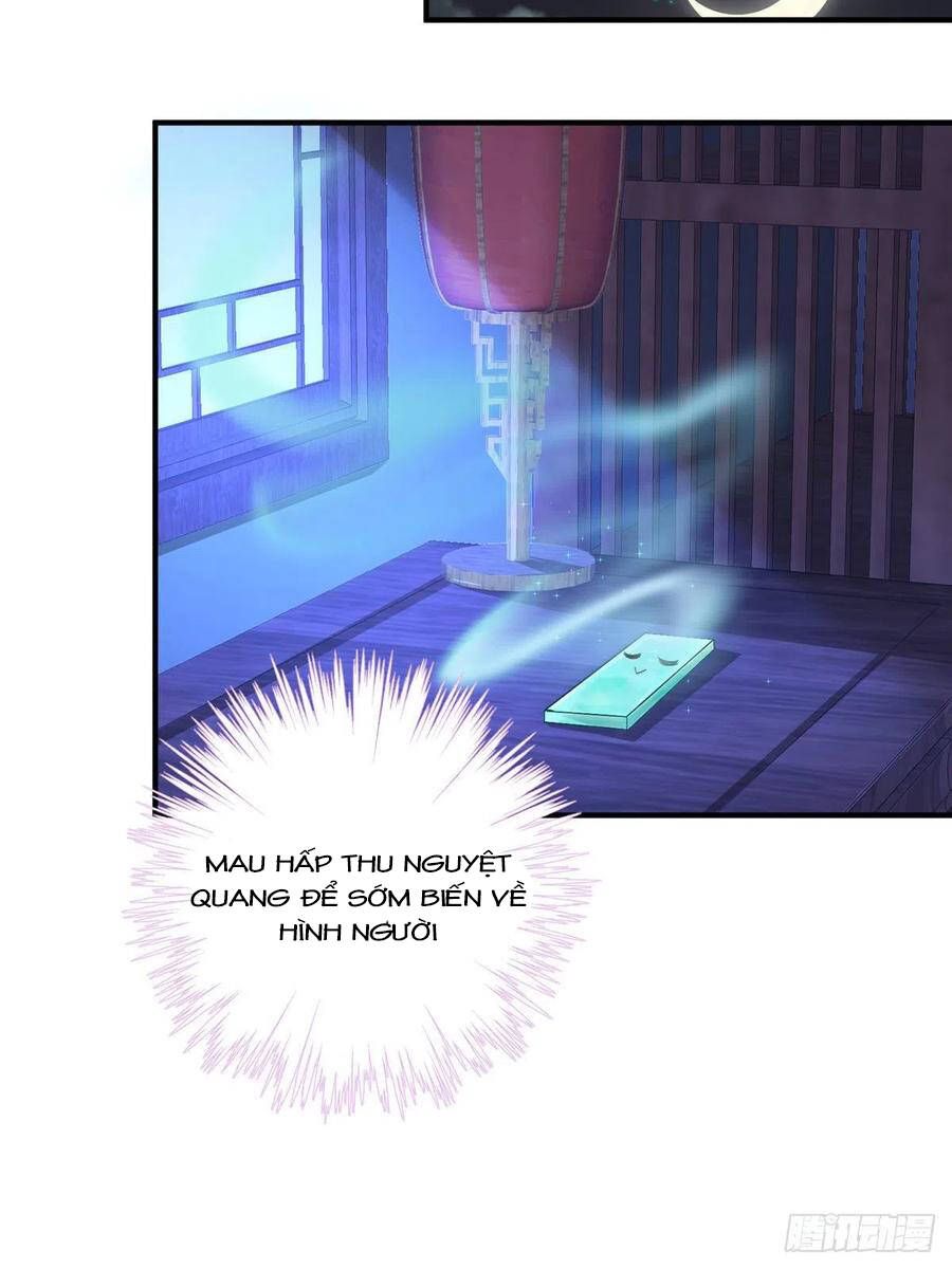 đọc truyện Đồ Đệ Nhà Ta Lại Quải Rồi Chương 324 ảnh 12 tại Thiên Thai Truyện