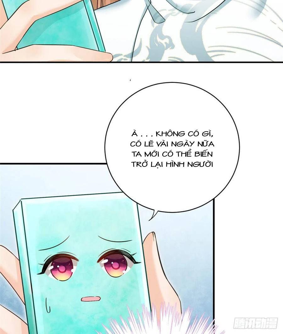 đọc truyện Đồ Đệ Nhà Ta Lại Quải Rồi Chương 324 ảnh 8 tại Thiên Thai Truyện