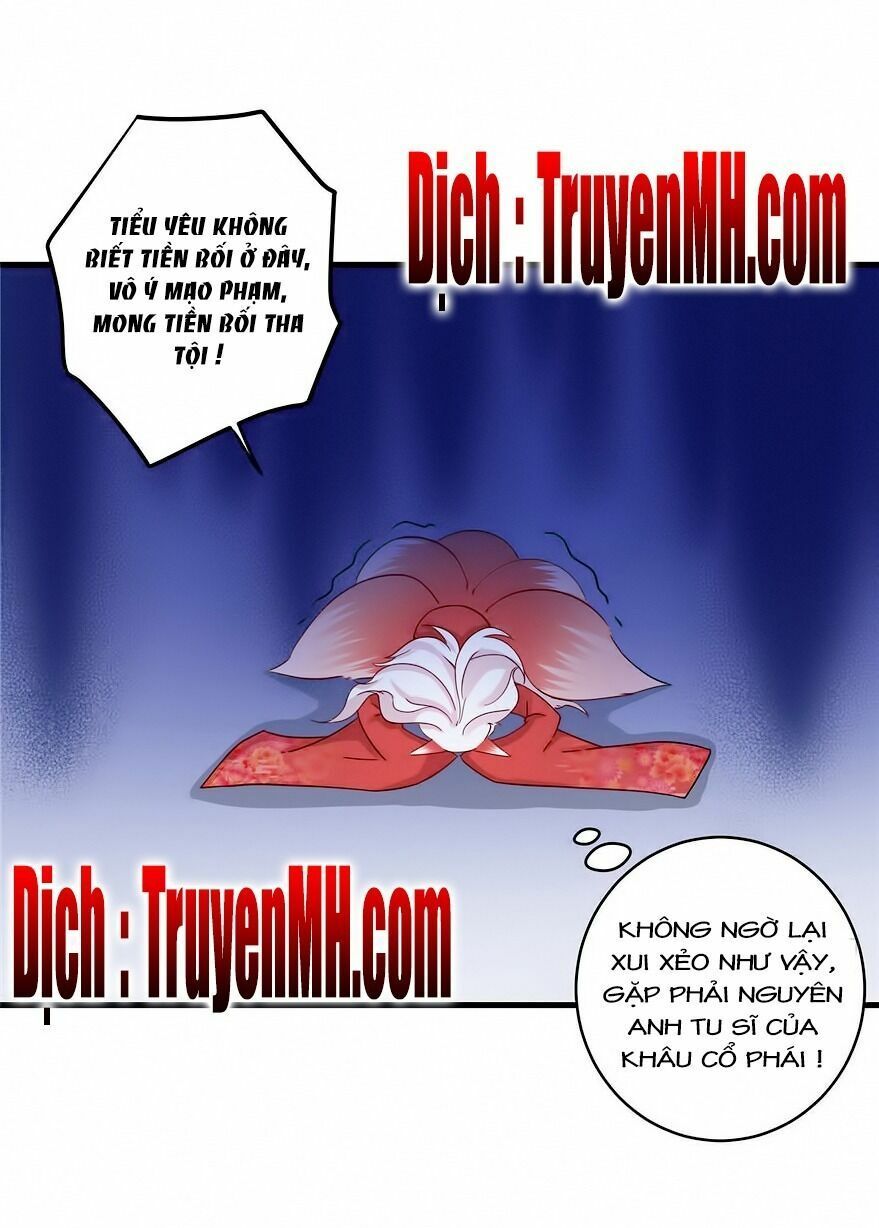 đọc truyện Đồ Đệ Nhà Ta Lại Quải Rồi Chương 40 ảnh 4 tại Thiên Thai Truyện