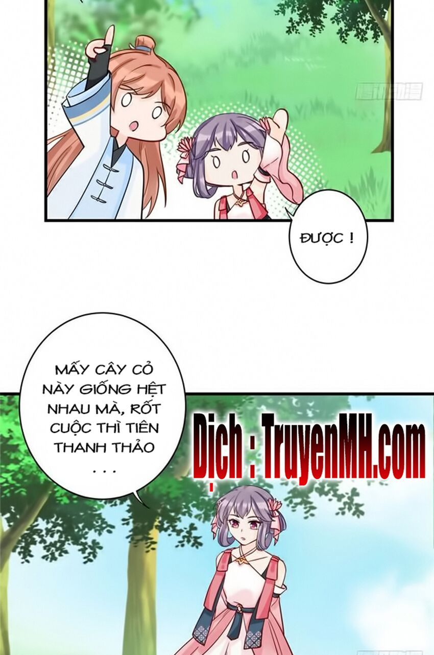 đọc truyện Đồ Đệ Nhà Ta Lại Quải Rồi Chương 59 ảnh 14 tại Thiên Thai Truyện