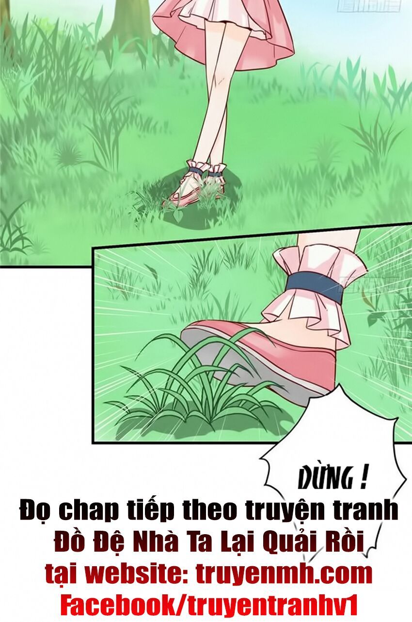 đọc truyện Đồ Đệ Nhà Ta Lại Quải Rồi Chương 59 ảnh 15 tại Thiên Thai Truyện