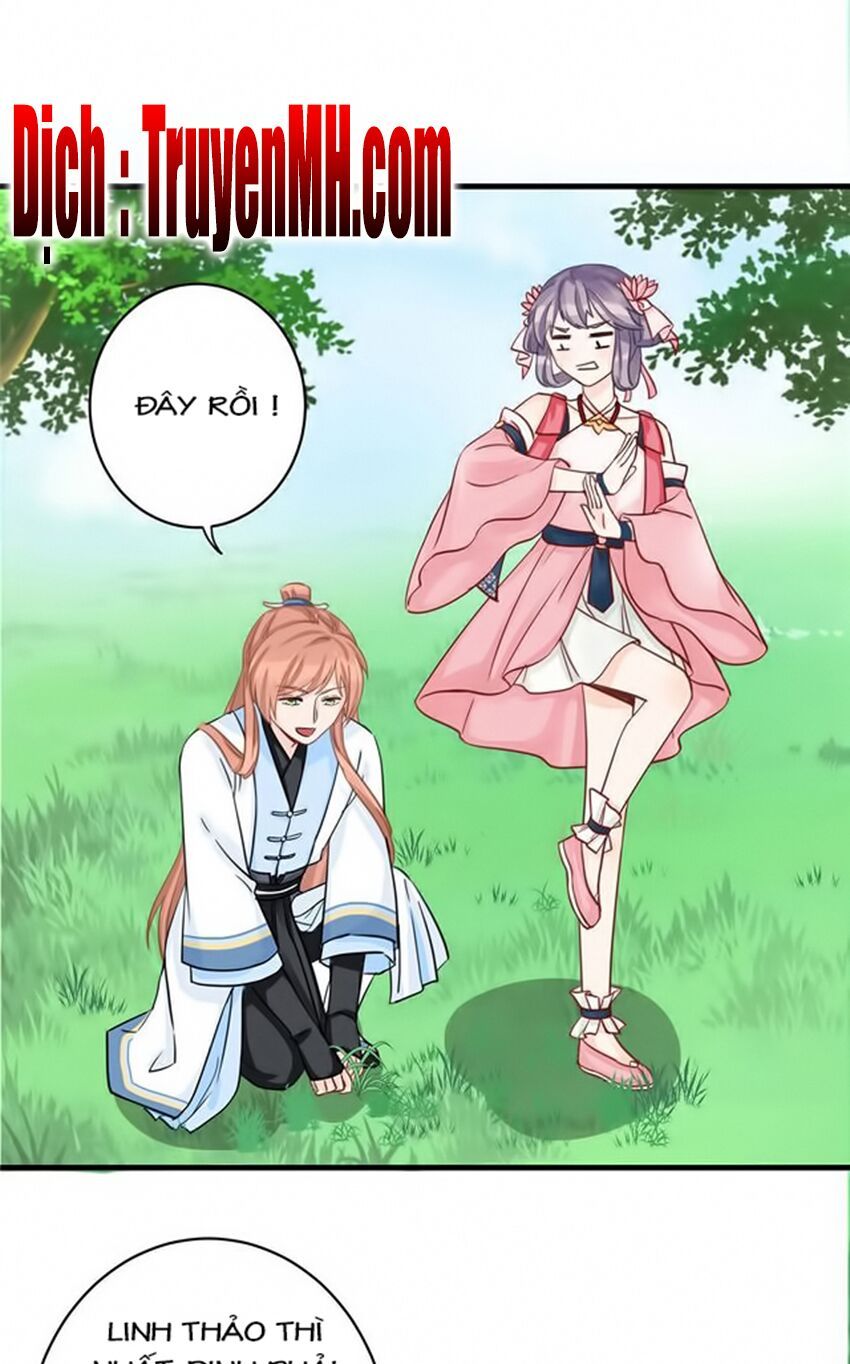 đọc truyện Đồ Đệ Nhà Ta Lại Quải Rồi Chương 60 ảnh 4 tại Thiên Thai Truyện