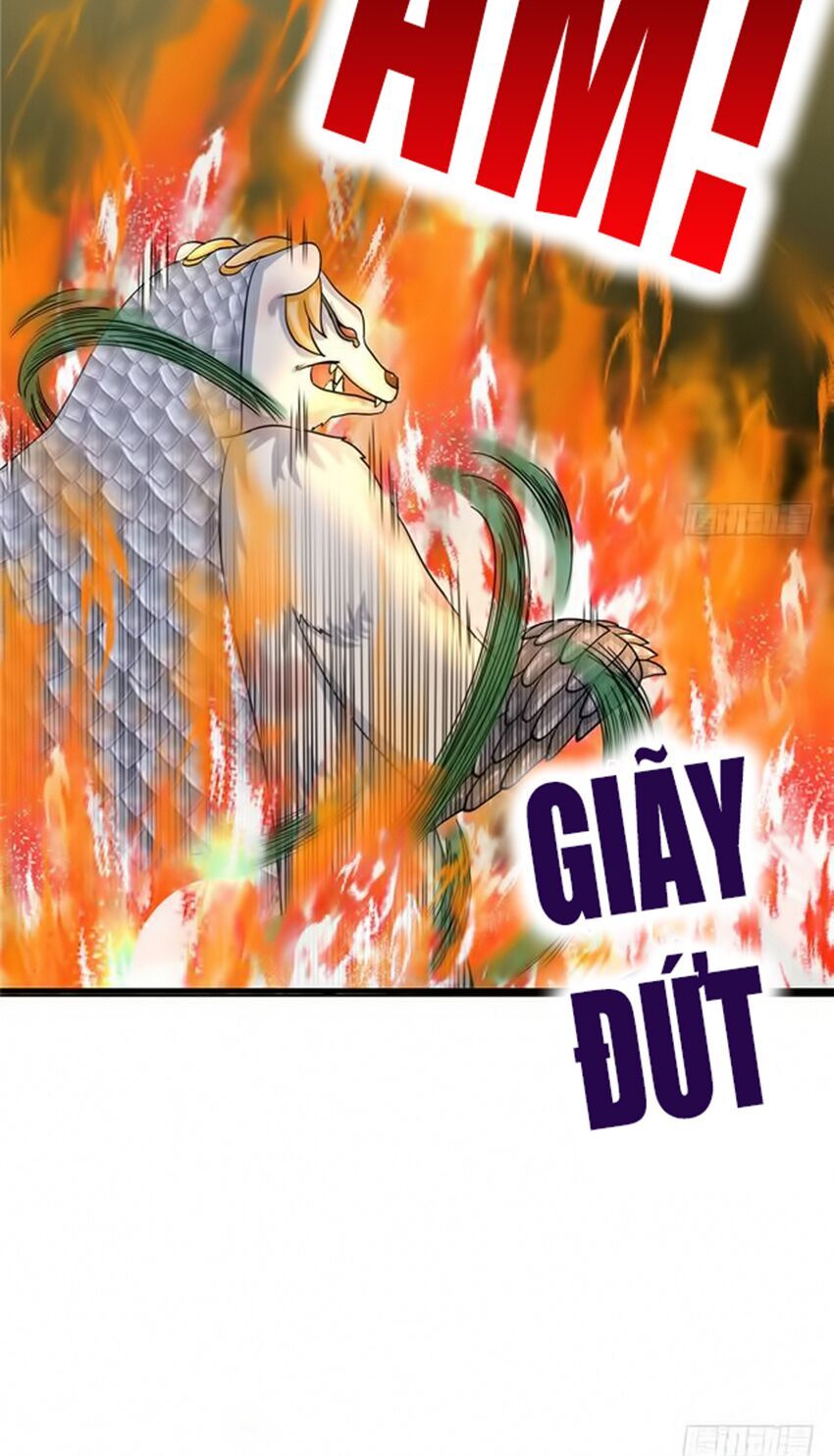 đọc truyện Đồ Đệ Nhà Ta Lại Quải Rồi Chương 62 ảnh 15 tại Thiên Thai Truyện