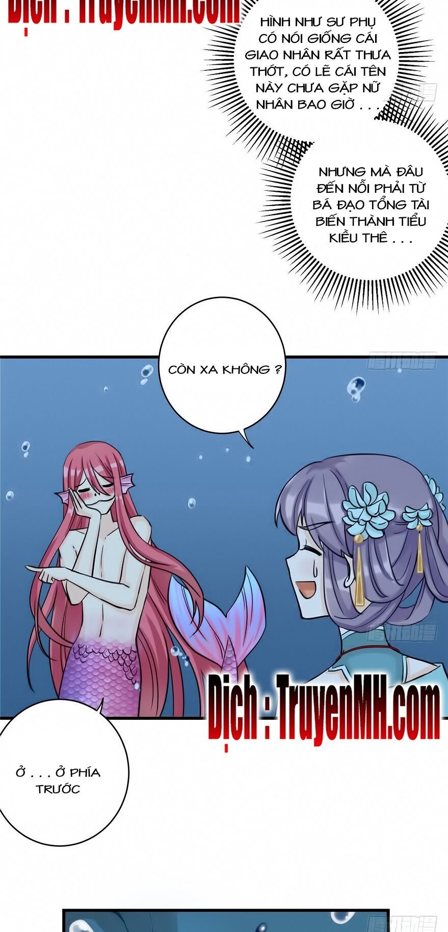 đọc truyện Đồ Đệ Nhà Ta Lại Quải Rồi Chương 70 ảnh 14 tại Thiên Thai Truyện