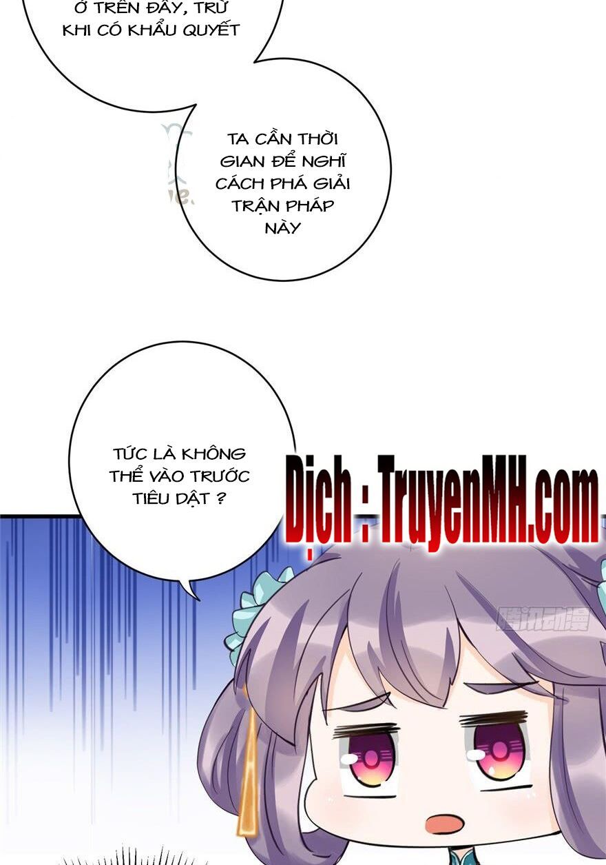 đọc truyện Đồ Đệ Nhà Ta Lại Quải Rồi Chương 72 ảnh 12 tại Thiên Thai Truyện