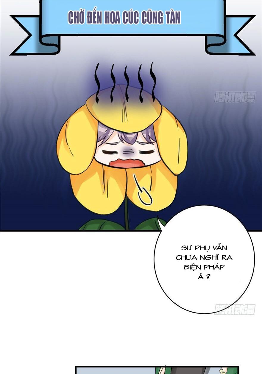 đọc truyện Đồ Đệ Nhà Ta Lại Quải Rồi Chương 72 ảnh 14 tại Thiên Thai Truyện